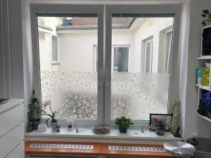Pronájem kanceláře, Brno, Starobrněnská, 12 m2