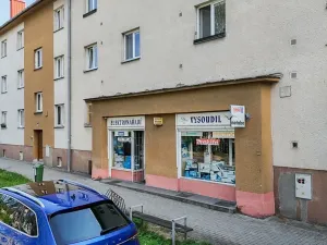 Prodej obchodního prostoru, Šternberk, Jívavská, 115 m2