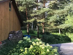 Prodej rodinného domu, Pila, 220 m2
