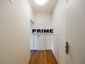 Pronájem bytu 1+kk, Praha - Žižkov, Lucemburská, 30 m2