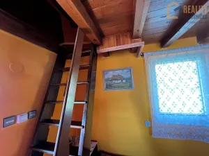 Prodej chaty, Ústí nad Orlicí, 60 m2