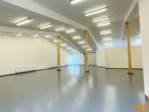 Pronájem skladu, Ústí nad Labem, Žižkova, 420 m2