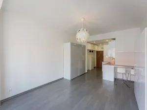 Pronájem bytu 1+kk, Praha - Karlín, Peckova, 34 m2