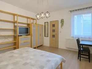 Pronájem bytu 1+1, Brno, Rotalova, 31 m2
