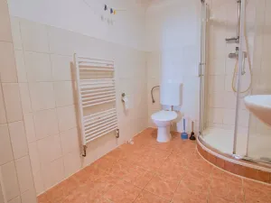 Pronájem bytu 3+1, Brno, Hrnčířská, 75 m2