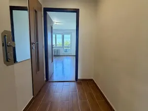 Pronájem bytu 1+kk, Ostrava, Hornopolní, 28 m2