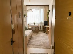 Prodej bytu 1+kk, Chodov, U Porcelánky, 24 m2