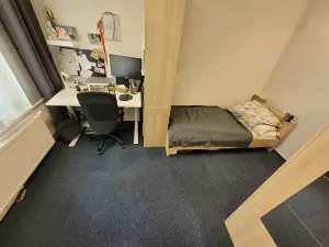 Pronájem bytu 4+1, Brno, Jeneweinova, 109 m2