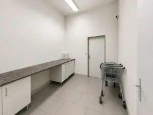 Prodej obchodního prostoru, Hodonín, 100 m2