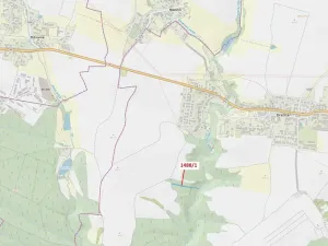 Dražba lesa, Dražice, 1957 m2