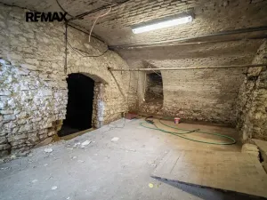 Prodej restaurace, Svinaře, Zelená Hora, 500 m2