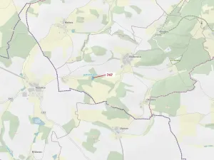 Dražba lesa, Zvěstov, 3010 m2