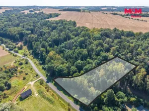 Prodej lesa, Tupadly, 5004 m2