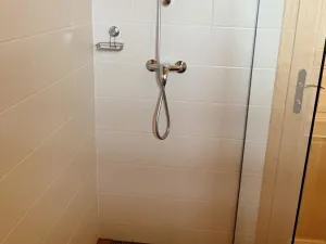 Prodej rodinného domu, Srní, 239 m2