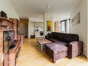 Pronájem bytu 2+kk, Praha - Žižkov, Pitterova, 58 m2