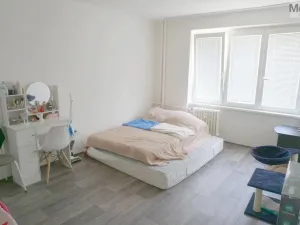 Prodej bytu 2+1, Most, Maxe Švabinského, 55 m2