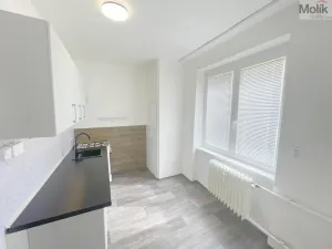 Prodej bytu 2+1, Most, Maxe Švabinského, 55 m2