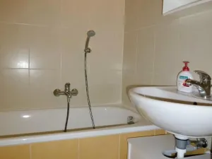 Pronájem bytu 2+1, Olomouc - Nová Ulice, Foerstrova, 54 m2