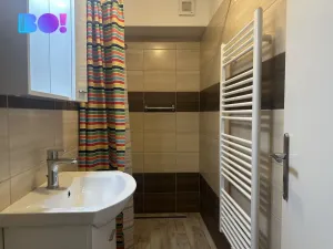 Pronájem bytu 1+1, Nový Jičín, Lesní, 42 m2