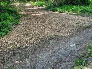 Prodej rybníku, Bulhary, 350 m2