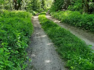 Prodej rybníku, Bulhary, 350 m2