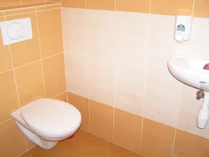 Pronájem obchodního prostoru, Prostějov, Netušilova, 67 m2