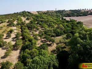 Prodej pozemku, Židlochovice, 4149 m2