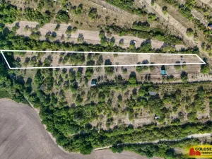 Prodej pozemku, Židlochovice, 4149 m2