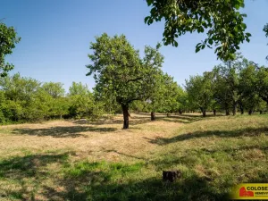 Prodej pozemku, Židlochovice, 4149 m2
