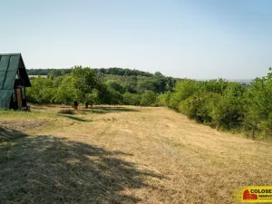 Prodej pozemku, Židlochovice, 4149 m2