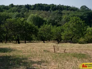 Prodej pozemku, Židlochovice, 4149 m2
