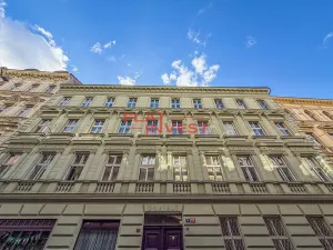 Prodej bytu 6+kk a větší, Praha - Nové Město, Řeznická, 294 m2