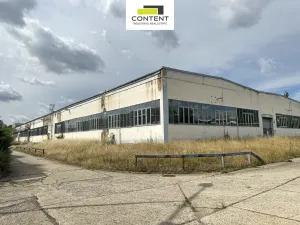 Pronájem výrobních prostor, Příbram - Příbram I, Obecnická, 9000 m2