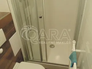 Pronájem bytu 1+kk, Praha - Nusle, Rostislavova, 12 m2