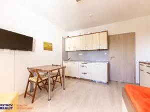 Pronájem bytu 1+kk, Loučná nad Desnou, 20 m2