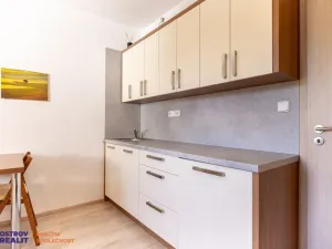 Pronájem bytu 1+kk, Loučná nad Desnou, 20 m2