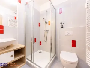 Pronájem bytu 1+kk, Loučná nad Desnou, 20 m2