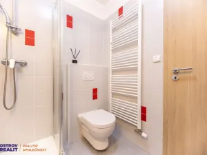 Pronájem bytu 1+kk, Loučná nad Desnou, 20 m2