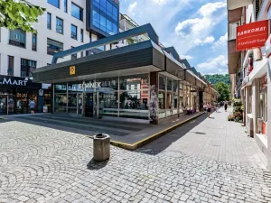 Pronájem bytu 2+kk, Praha - Karlín, U Mlýnského kanálu, 58 m2