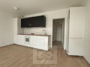 Pronájem bytu 1+kk, Praha - Žižkov, Olgy Havlové, 37 m2