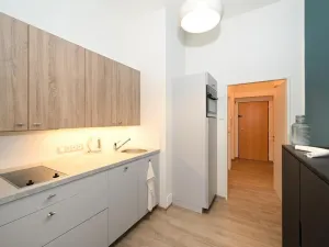 Pronájem bytu 1+1, Praha - Vršovice, Moskevská, 36 m2