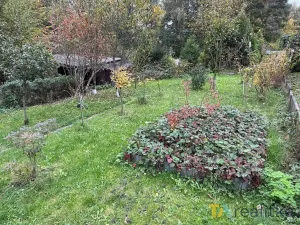 Prodej zahrady, Havířov, Na Sioně, 377 m2