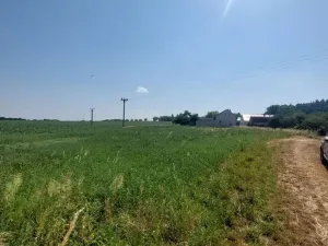 Prodej pozemku pro bydlení, Pavlov, 32279 m2