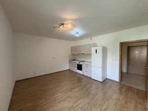 Prodej bytu 2+kk, Praha - Břevnov, 8. listopadu, 46 m2