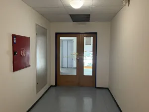 Prodej bytu 2+kk, Praha - Břevnov, 8. listopadu, 46 m2