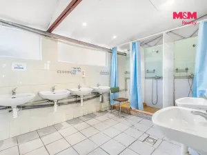 Prodej ubytování, Mšeno, 757 m2