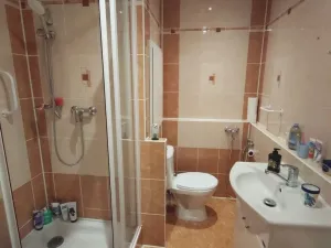 Pronájem bytu 1+1, Rokycany - Nové Město, Pod Ohradou, 35 m2