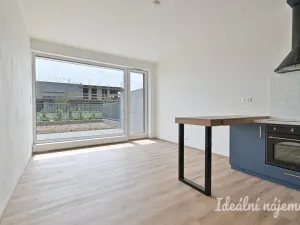 Pronájem bytu 2+kk, Brno, Rybářská, 52 m2