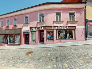 Prodej obchodního prostoru, Třebíč - Vnitřní Město, Hasskova, 400 m2