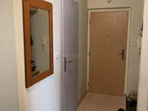 Prodej bytu 3+1, Ostrov, Kollárova, 71 m2